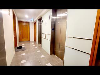 中環 - 東澤臺 24