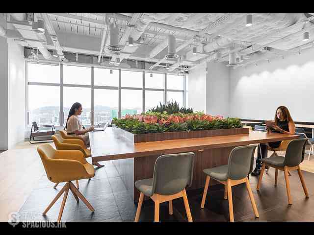 铜锣湾 - Hysan Place 04