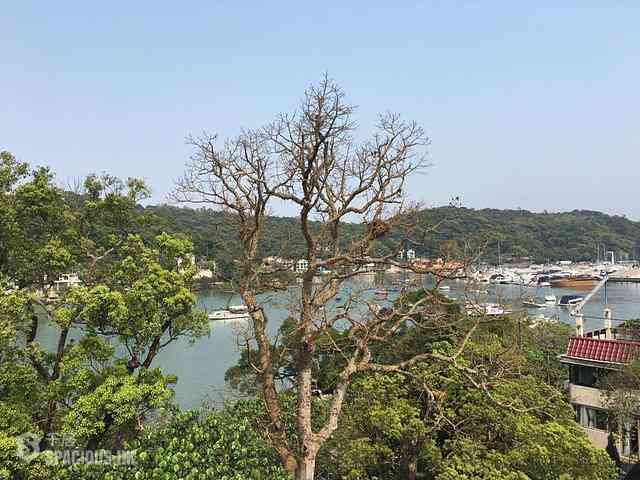 西貢 - 打蠔墩 01