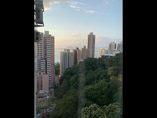 坚尼地城 - 桃李园 02