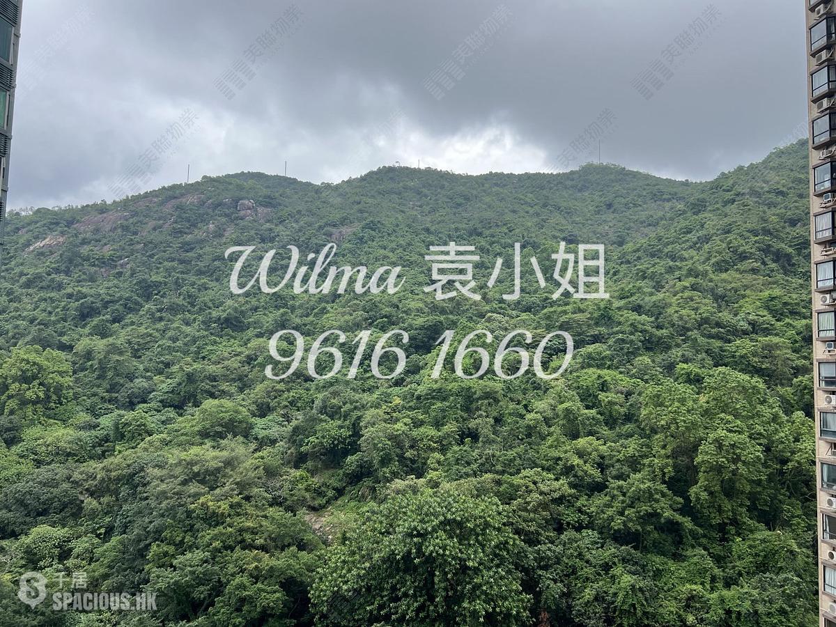 大坑 - 龍華花園 01