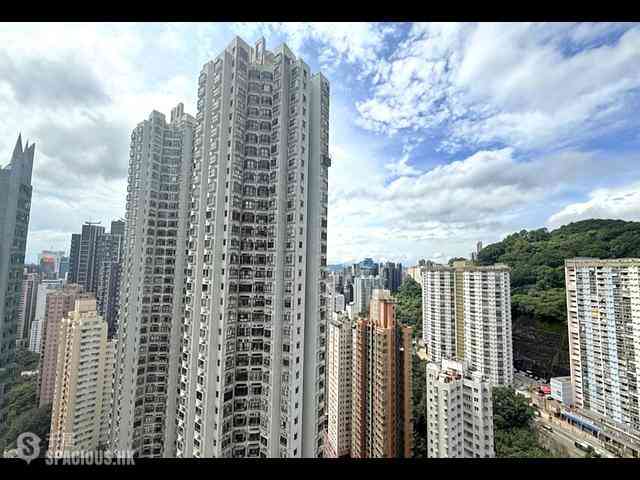 大坑 - 帝后台 03