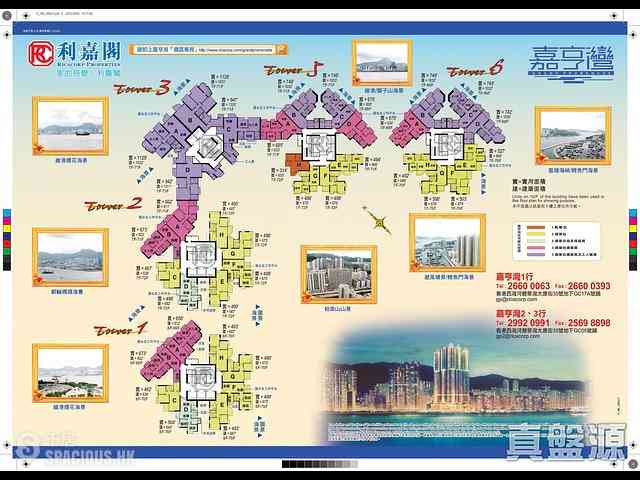 西灣河 - 嘉亨灣3座 13