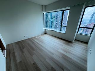中半山 - 羅便臣道31號 13