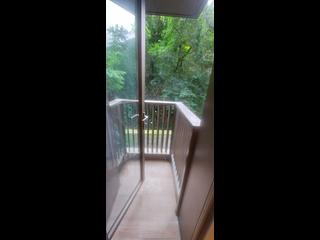 Shau Kei Wan - Island Garden 05