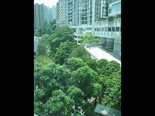 灣仔 - 皇朝閣 10