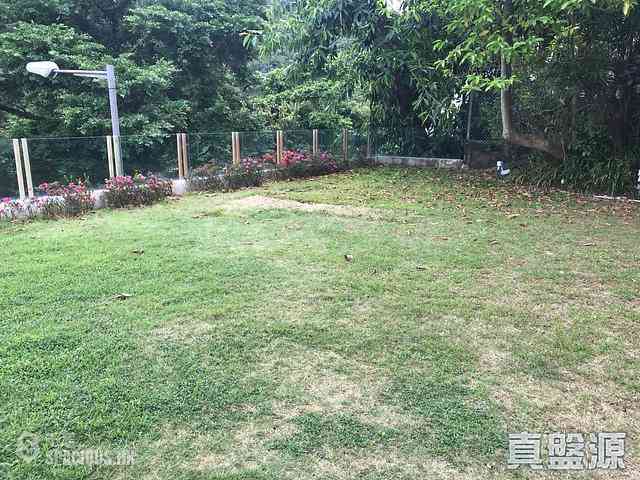 淺水灣 - 赫蘭道3號 04