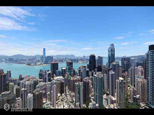 西半山 - 罗便臣道80号 01