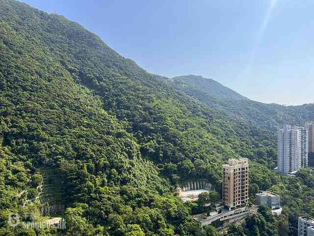 西半山 - 帝豪閣C座 01