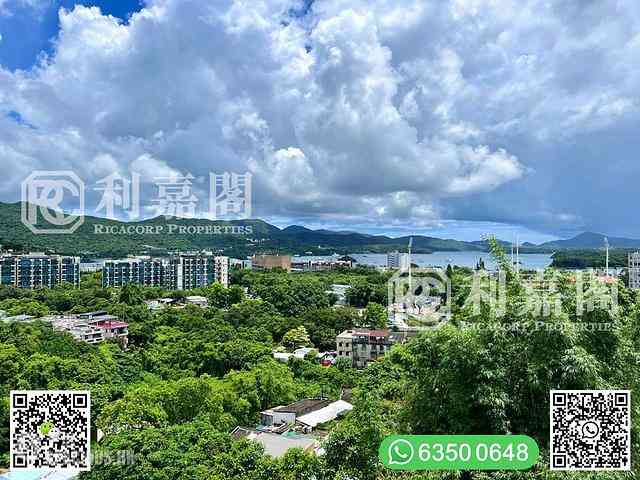 西贡 - Dragon Villa 21