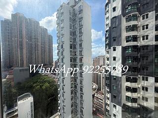 石塘咀 - 尚岭 05