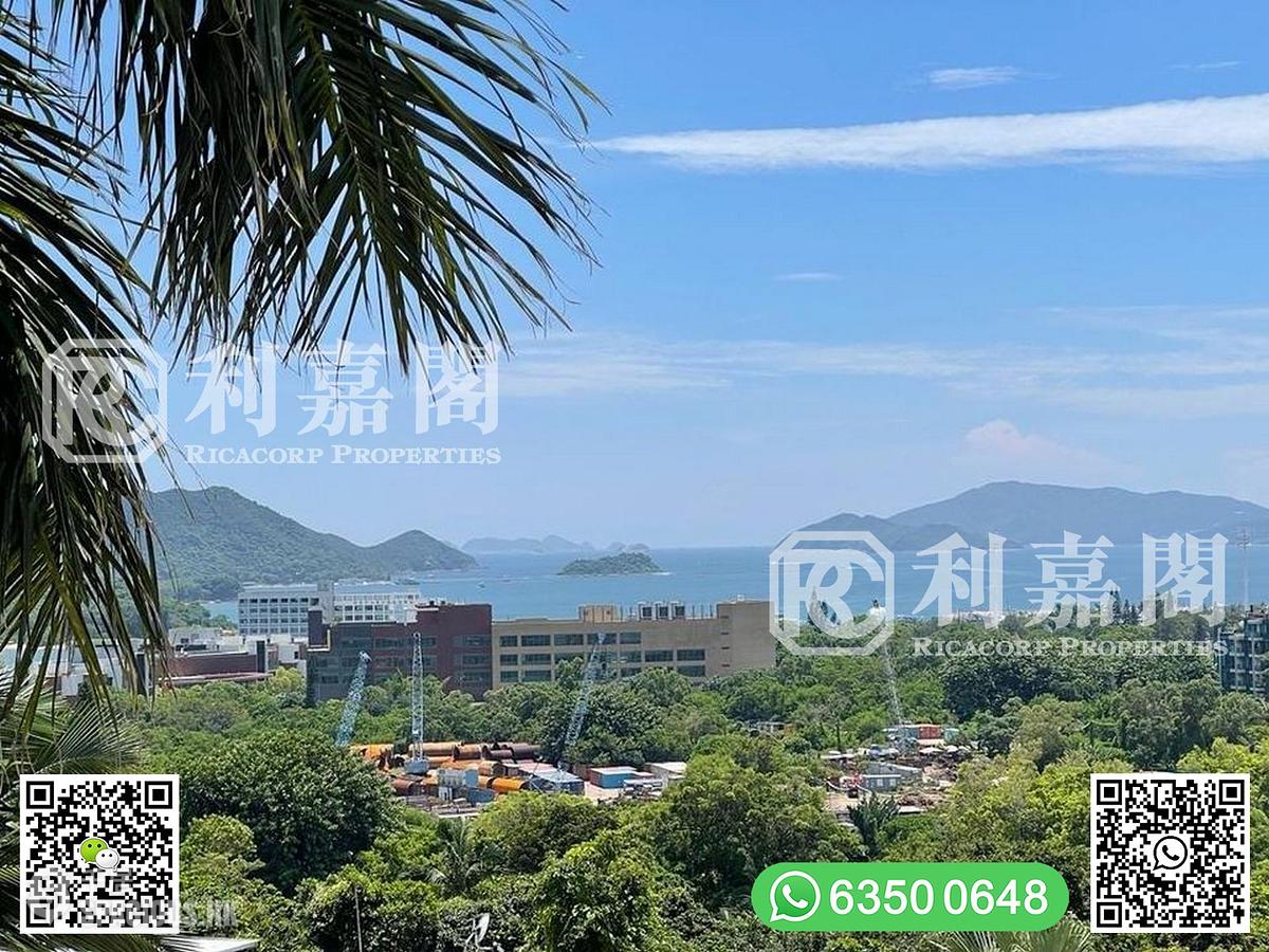 西贡 - Cotton Tree Villas 01