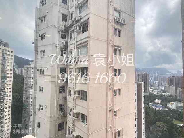 大坑 - 大坑台 07