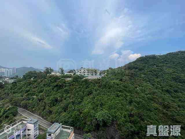 Shau Kei Wan - Island Garden Block 2 10