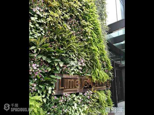 Shau Kei Wan - Lime Gala Block 1B 05