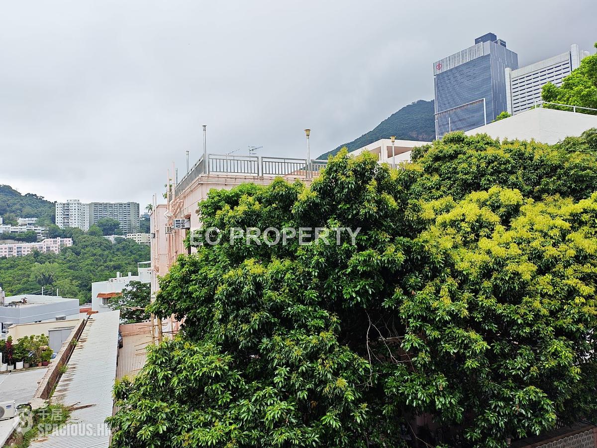 Pok Fu Lam - The Regalis 01