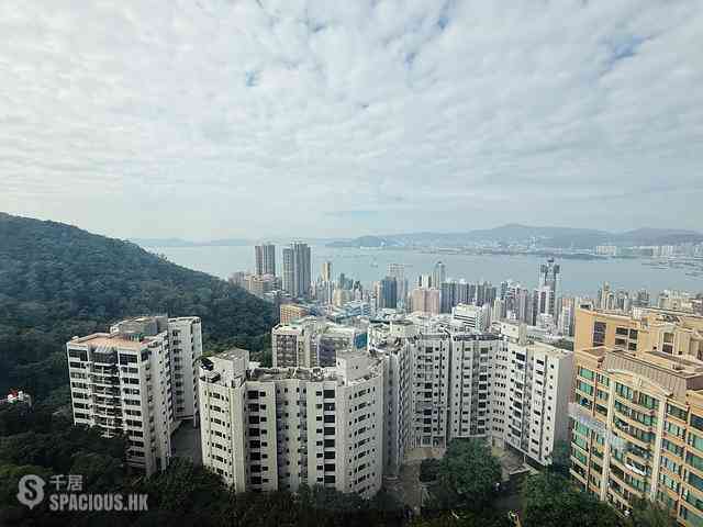 西半山 - 碧苑大厦 03