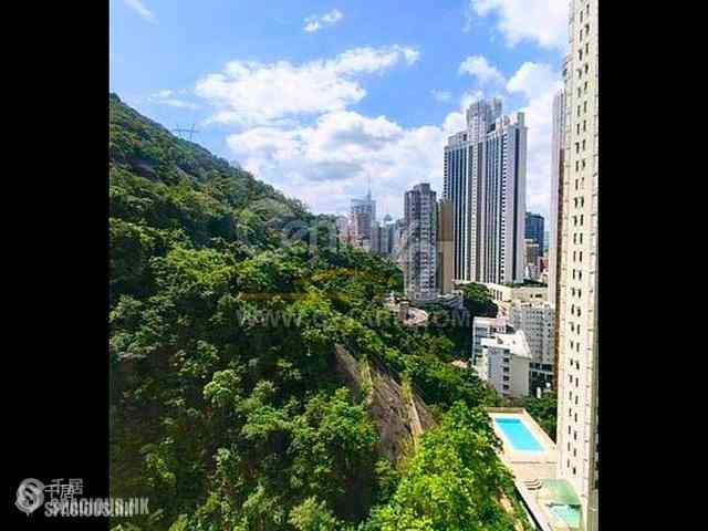 東半山 - 竹林苑 01