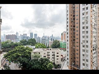 大坑 - 柏園 11