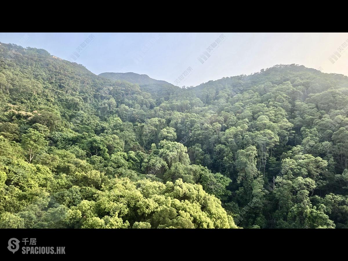 西半山 - 杏彤苑 01