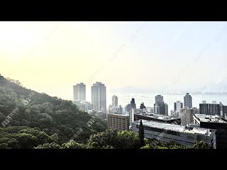 西半山 - 杏彤苑 02