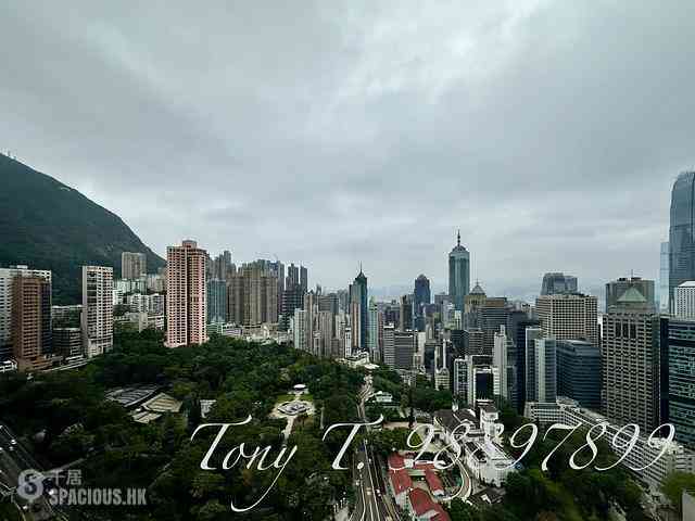 中环 - 帝景阁 01