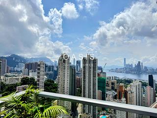 大坑 - 上林 08