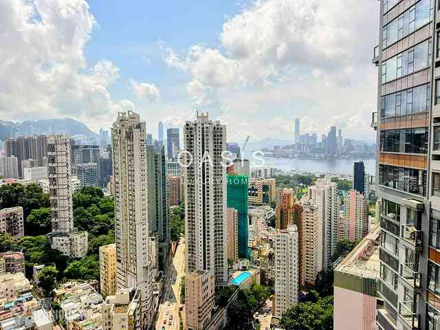大坑 - 上林 09