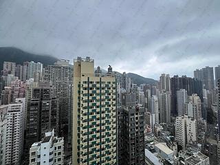 Sai Ying Pun - Two・Artlane 07
