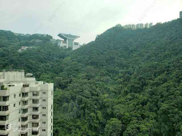 Mid Levels Central - Hillsborough Court 12
