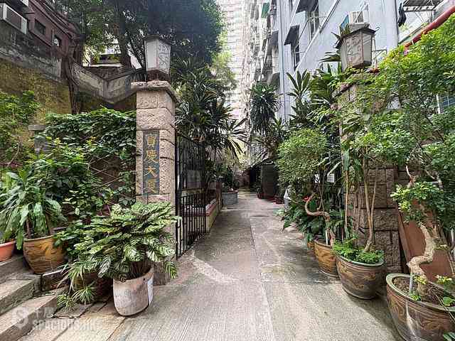 Poho - 宝庆大厦 15