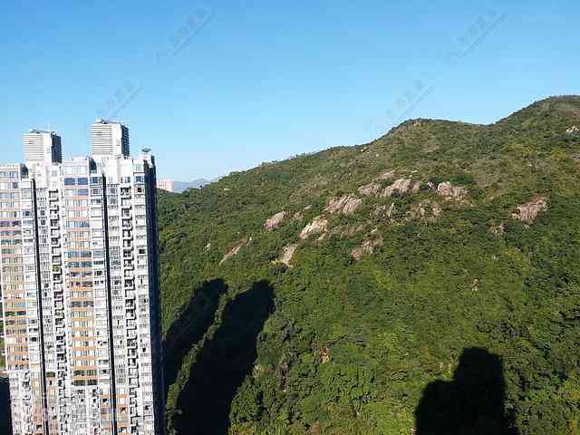 Tai Hang - The Legend 02