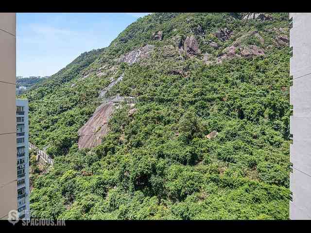 中半山 - 敦皓 02