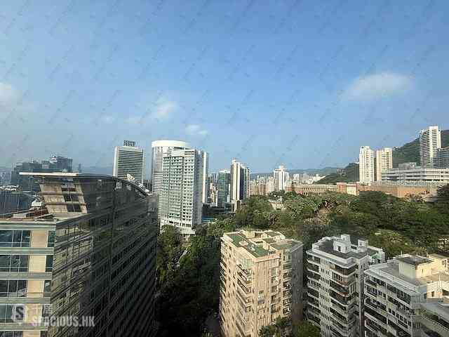 中半山 - 寶樺臺 04