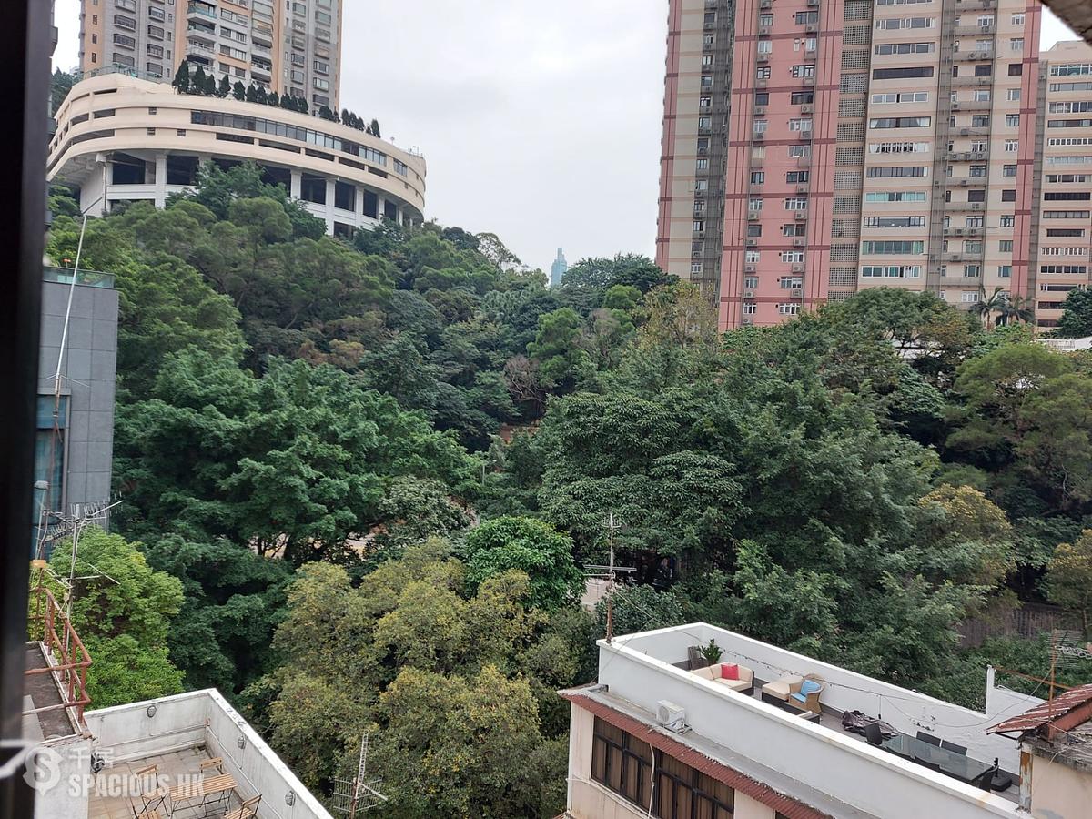 大坑 - 金晖阁 01