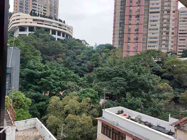 大坑 - 金晖阁 01