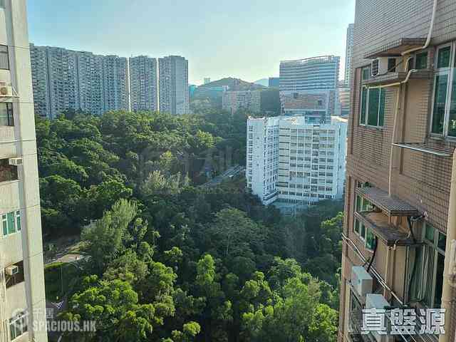 寶馬山 - 天寶大廈 02