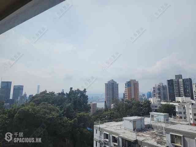 Tai Hang - Swiss Towers 01