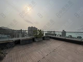 Sai Ying Pun - The Summa 02