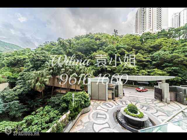Tai Hang - The Legend 04