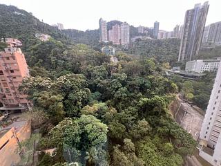Wan Chai - Star Crest 06