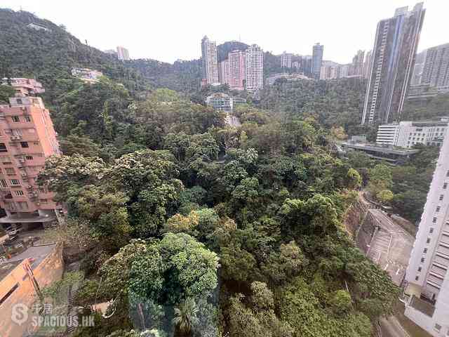 Wan Chai - Star Crest 06