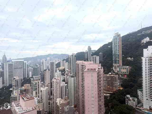 中半山 - 花園台 12