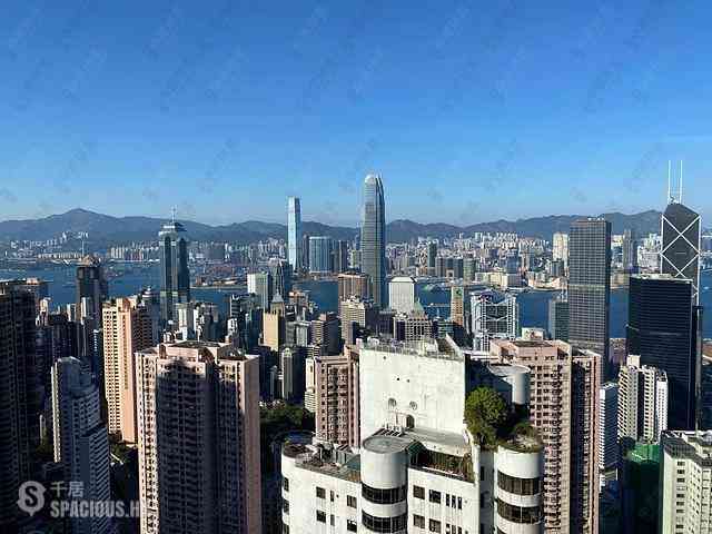 中半山 - 世纪大厦1座 27