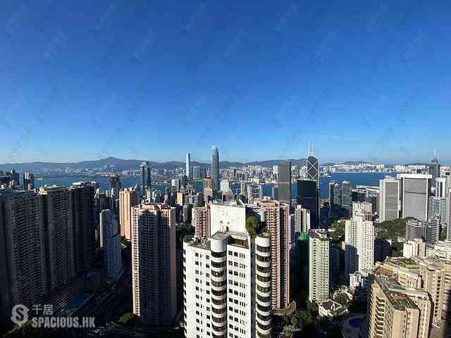 中半山 - 世纪大厦1座 28