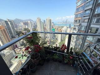 Tai Hang - Serenade 07
