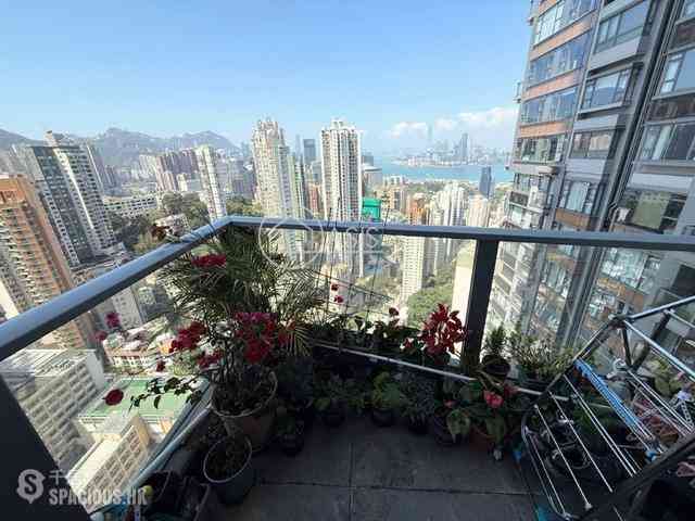 Tai Hang - Serenade 07