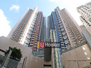 Central - Hollywood Terrace 09