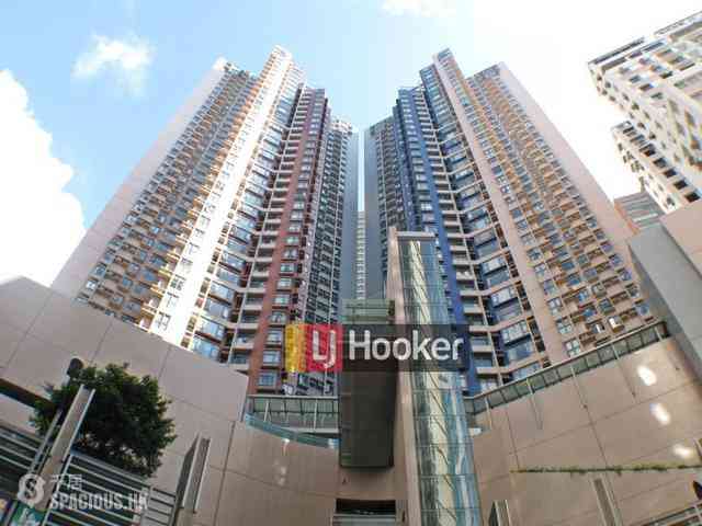 Central - Hollywood Terrace 09