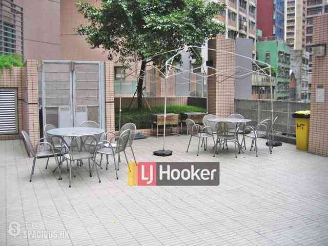 Central - Hollywood Terrace 11